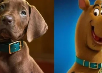 NETFLIX ESCALA CACHORRO REAL EM VEZ DE EFEITOS DIGITAIS PARA VIVER SCOOBY-DOO EM NOVA SÉRIE LIVE-ACTION