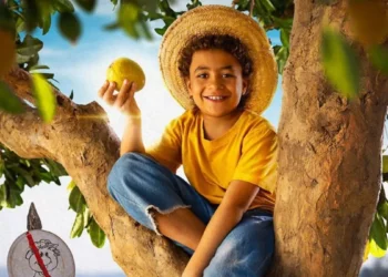 FRANQUIA CHICO BENTO CONFIRMA SEQUÊNCIA APÓS SUPERAR MARCA DE 1 MILHÃO DE ESPECTADORES